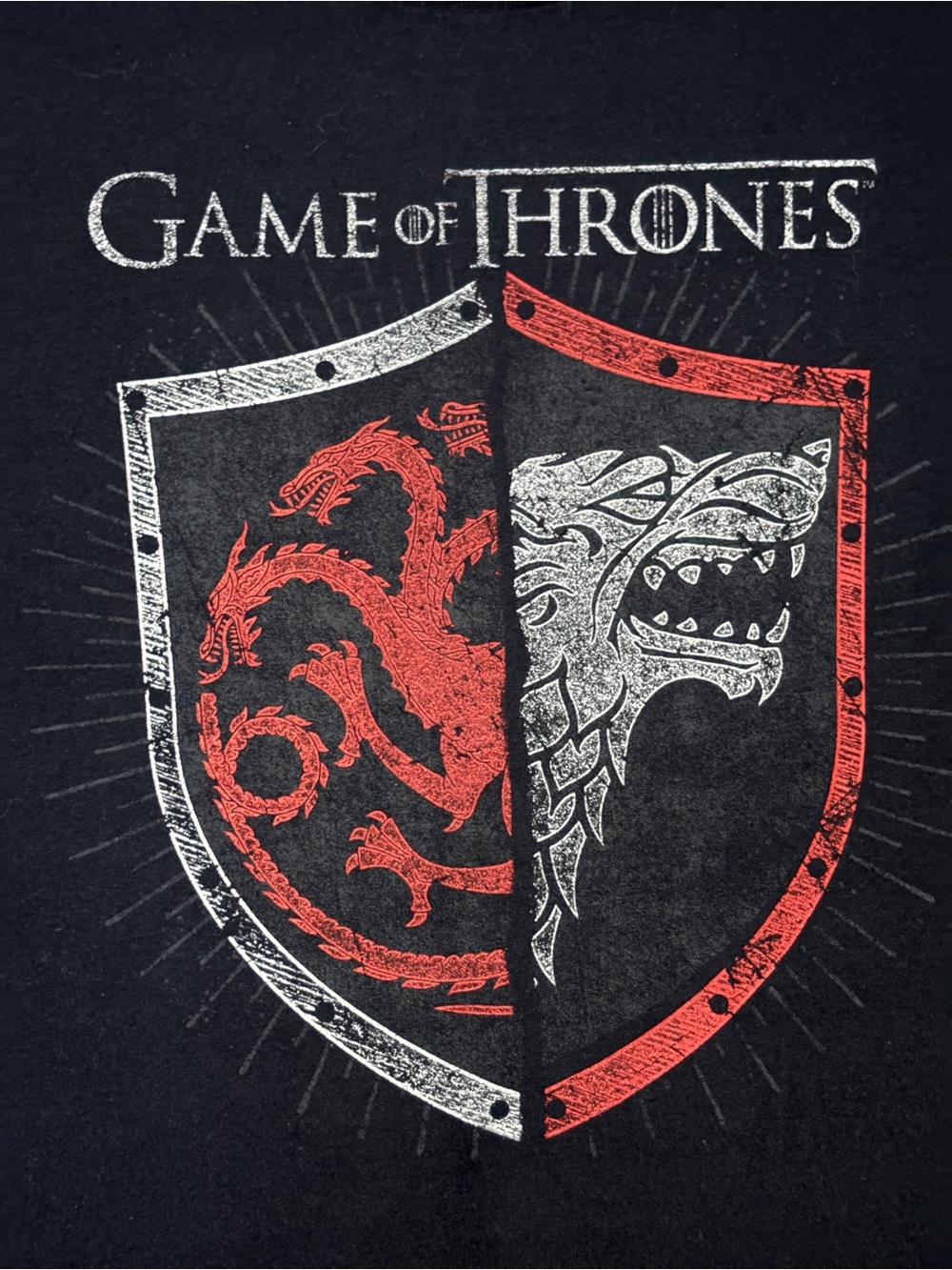 HBO Game of Thrones House Targaryen & Stark Dragon & Wild Crest Tee - Black XL